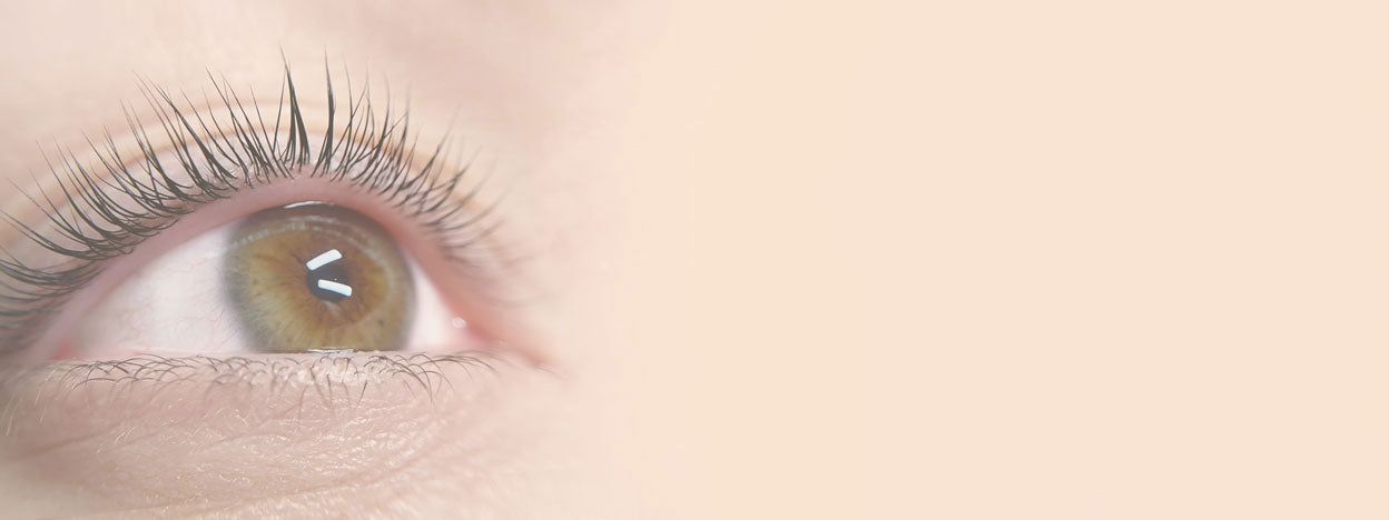 Why London Lash US Is the Most Trusted Brand in the Lash Industry