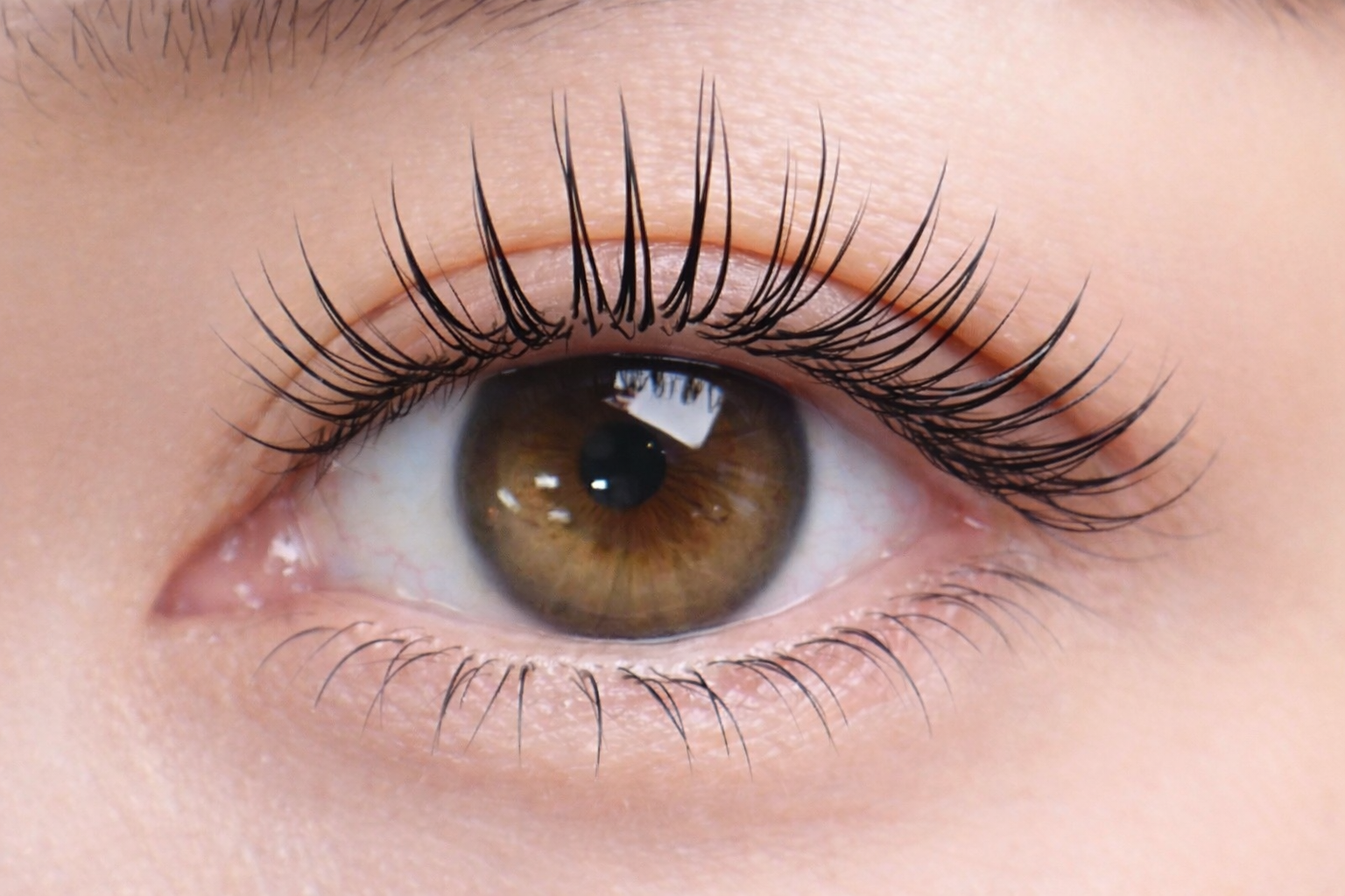 Close-up of a Japanese model's eye showcasing a natural, refined result after a professional lash extension treatment.