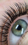 a super close photo of lash extensions taken with a macro lense