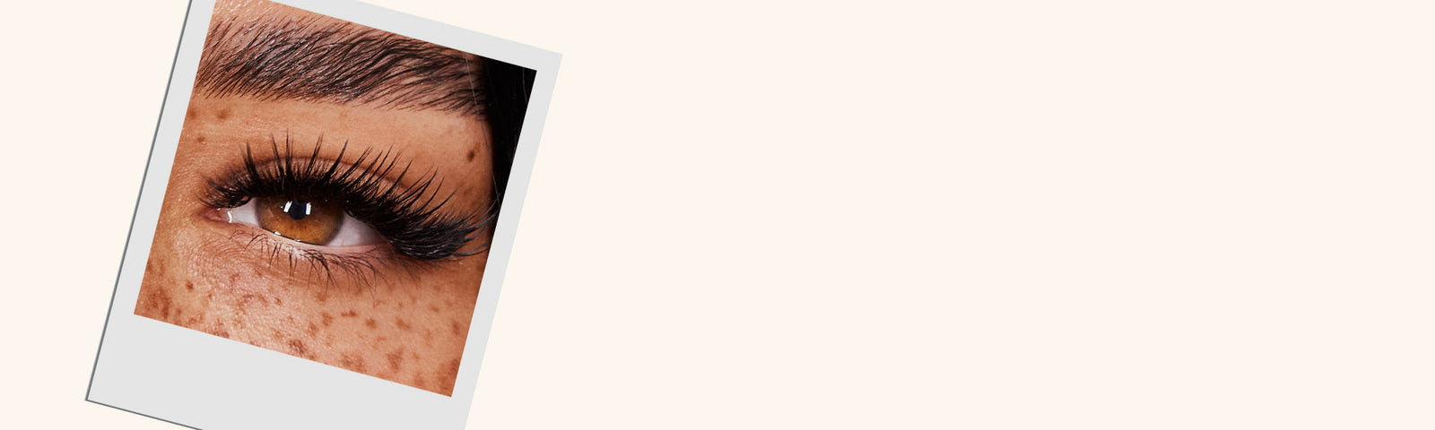 The Best Lash Extensions, Adhesives, and Tools for U.S. Lash Technicians