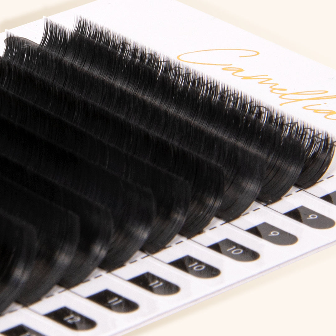 CAMELLIA - TOP LINE EASY FANNING MEGA VOLUME LASHES 0.03