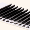 CAMELLIA - EASY FANNING VOLUME LASHES 0.07