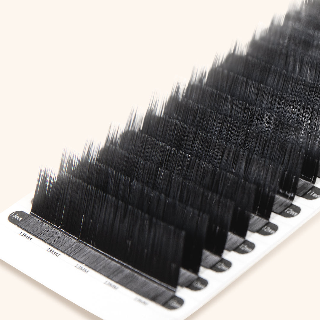 a tray of mayfair eyelash extensions