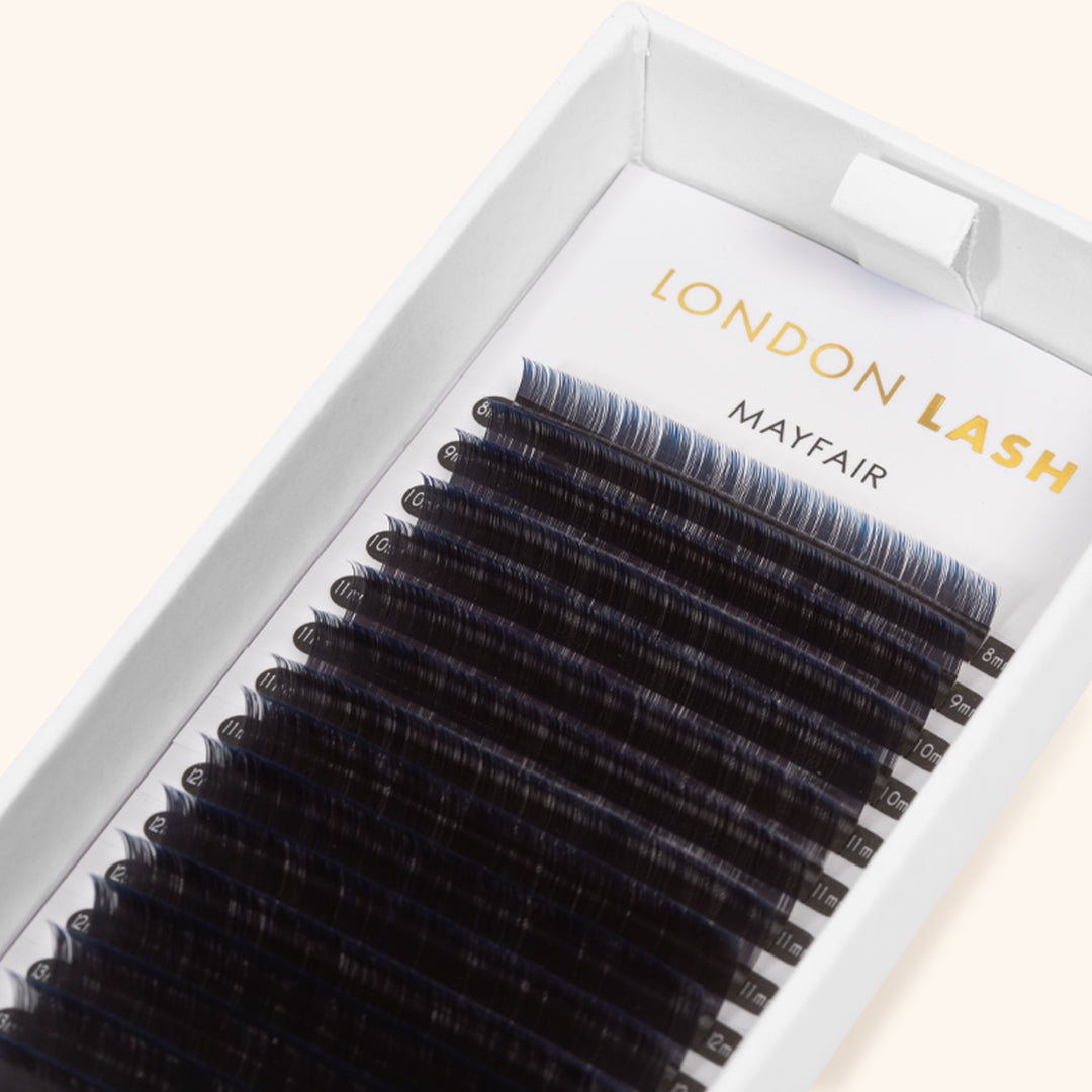 ombre lashes in an open box showing their blue tips