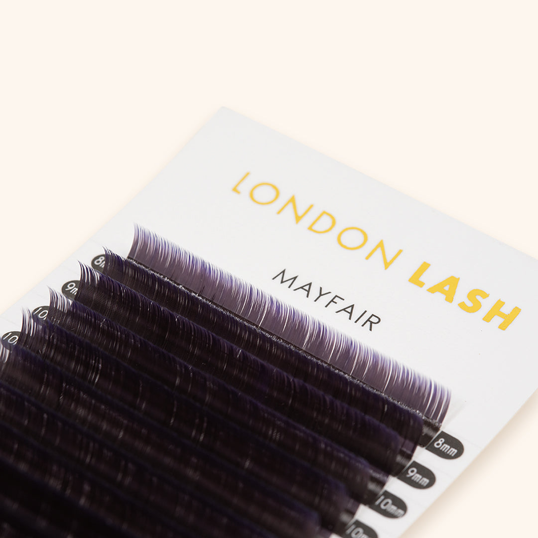 a close up of ombre lashes showing their purple tips