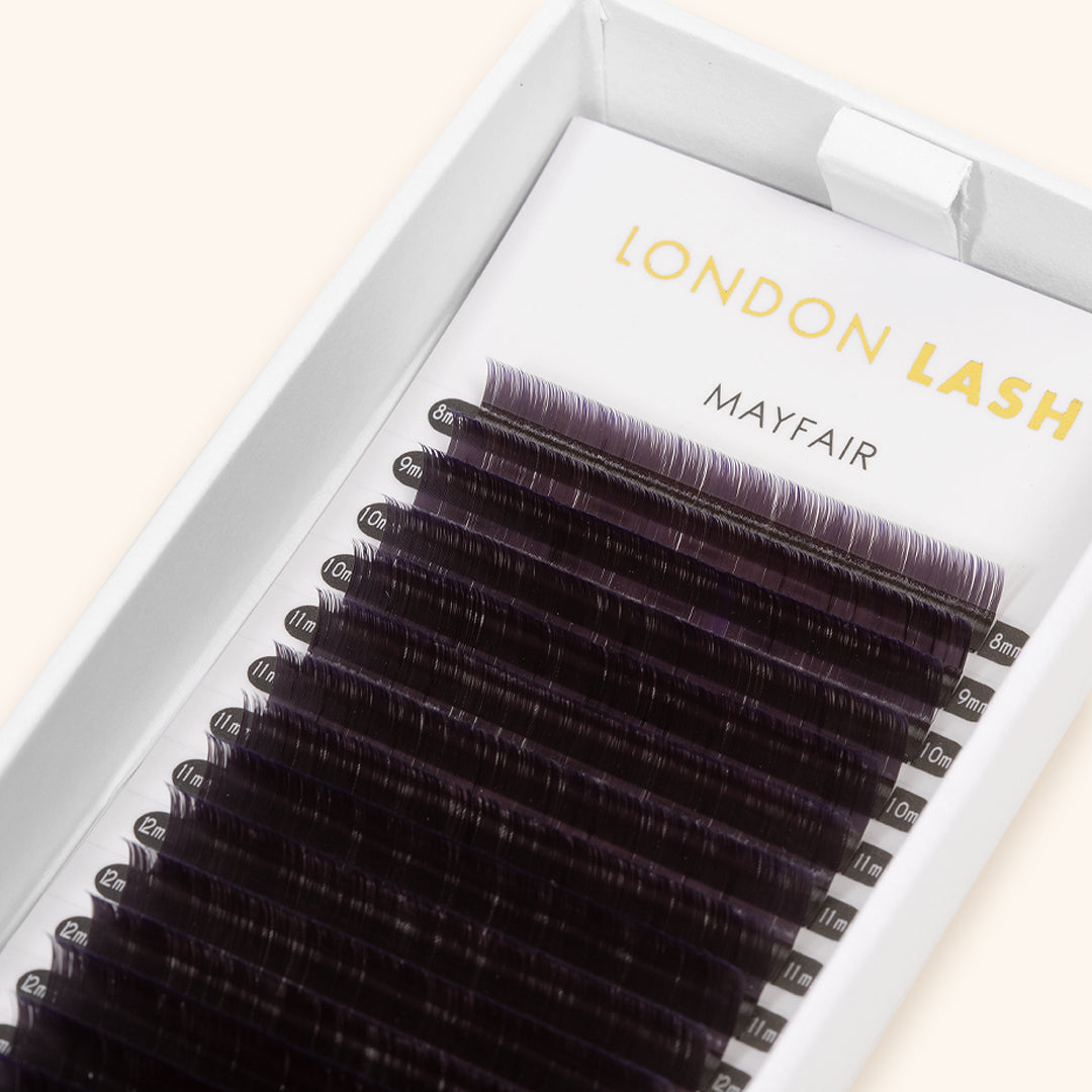 ombre lashes in an open box showing their purple tips