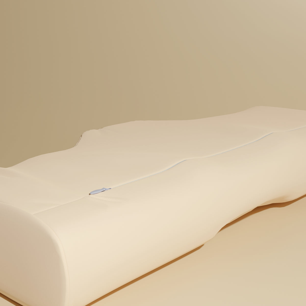 Taie d'oreiller en mousse à mémoire de forme (2 couleurs)