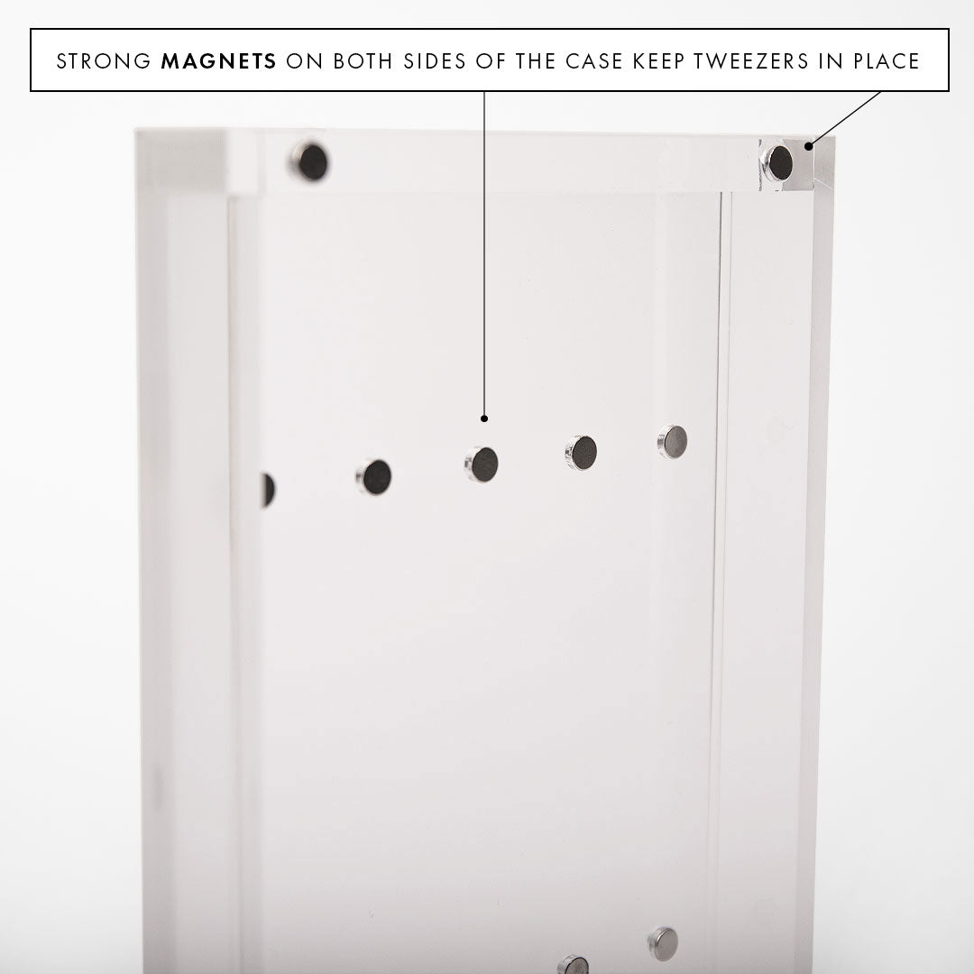 Magnetic Tweezer Case Infographic