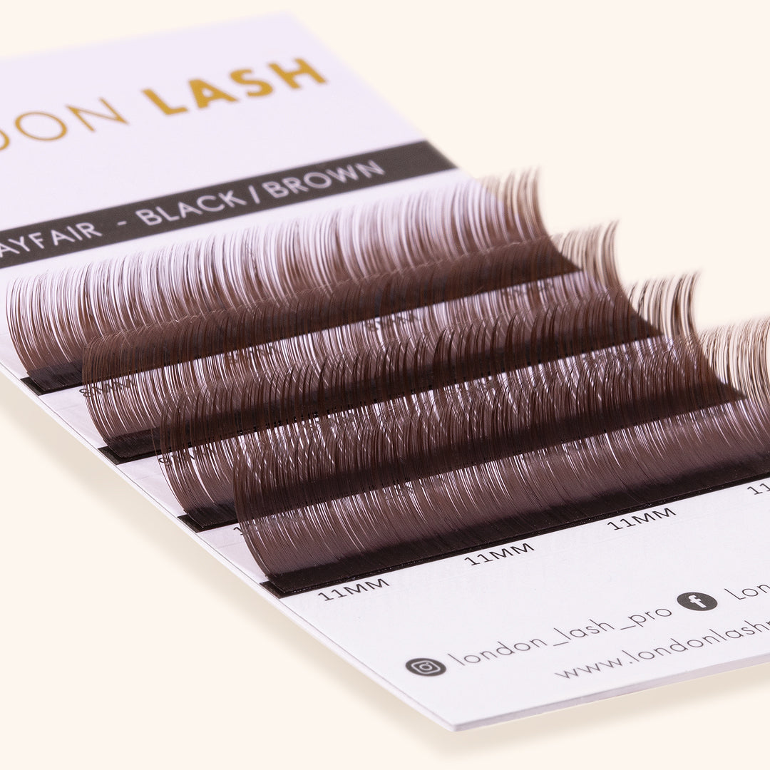 a close up of the lash card of mayfair black brown lashes, showing the 4 different lengths and the color of the lashes