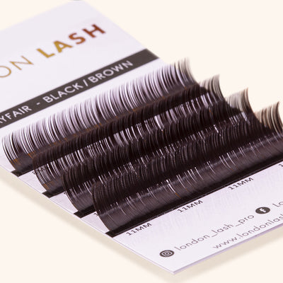 a close up of the lash card of mayfair black brown lashes, showing the 4 different lengths and the color of the lashes