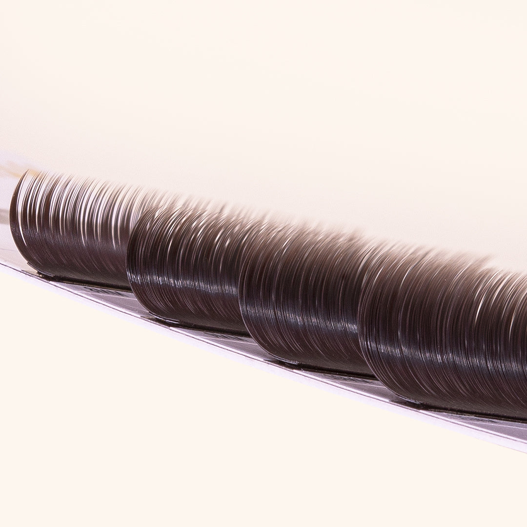 a close up of the lash card of mayfair black brown lashes, showing the 4 different lengths and the color of the lashes