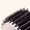 a close up of the chelsea lashes on a lash card. the card is curved to show the curl of the lashes