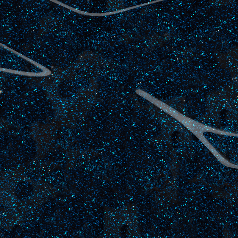 Dark sparkly blue nail polish color swatch