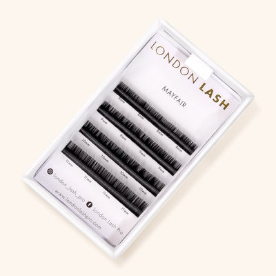 a sample tray of mayfair eyelash extensions containing four rows of lashes
