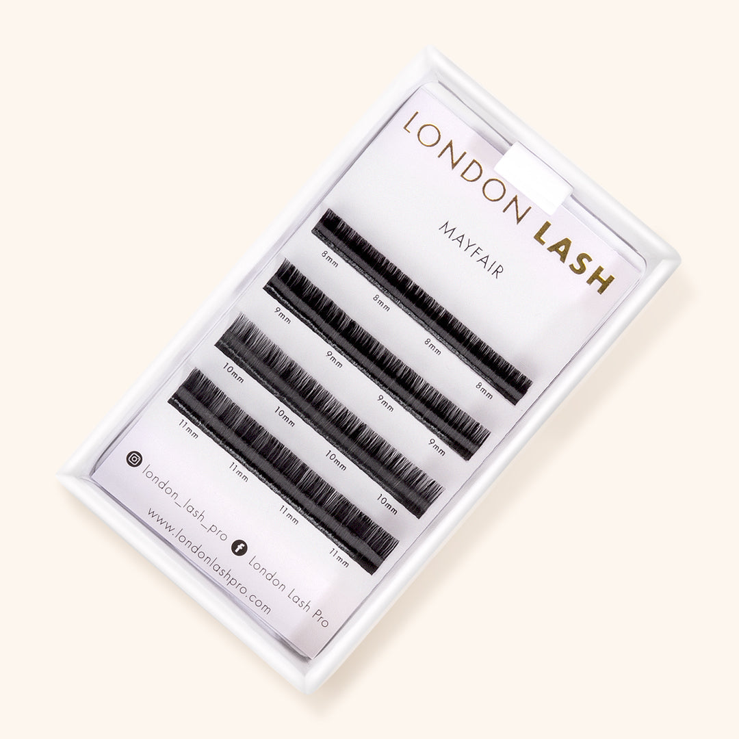 a sample tray of mayfair eyelash extensions containing four rows of lashes