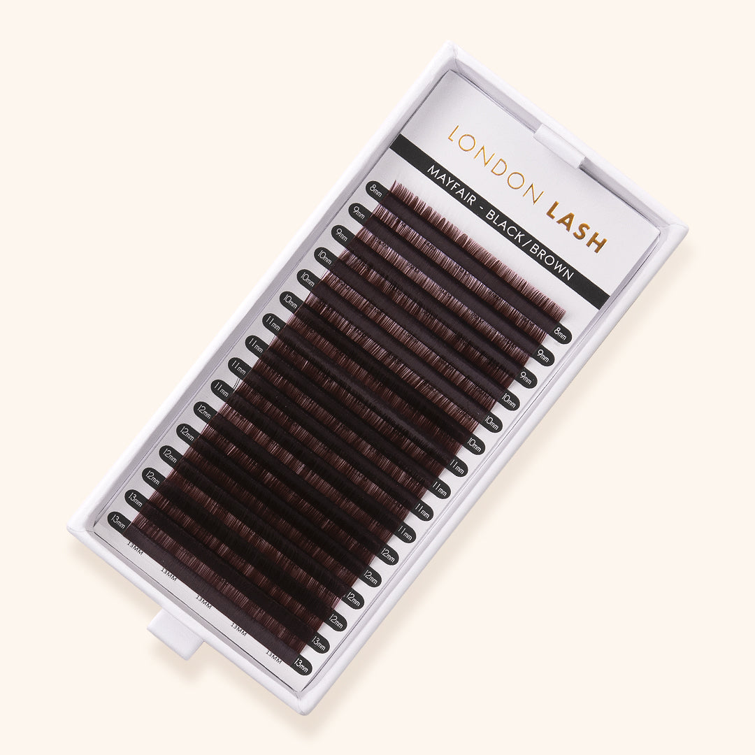 a tray of mayfair black brown eyelash extensions