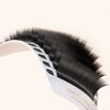 the lash card for camellia easy fan volume lashes. The card is curved in an arch showing the C curl of the lashes