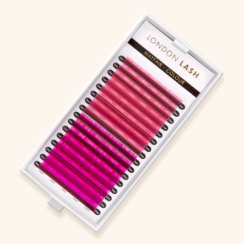 Pink/ Hot Pink Mayfair Lashes