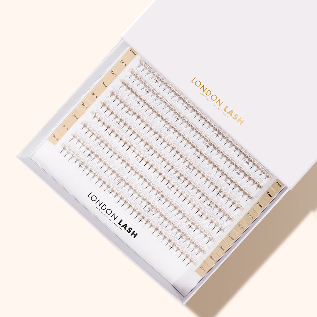 6D lash fans in a lash tray